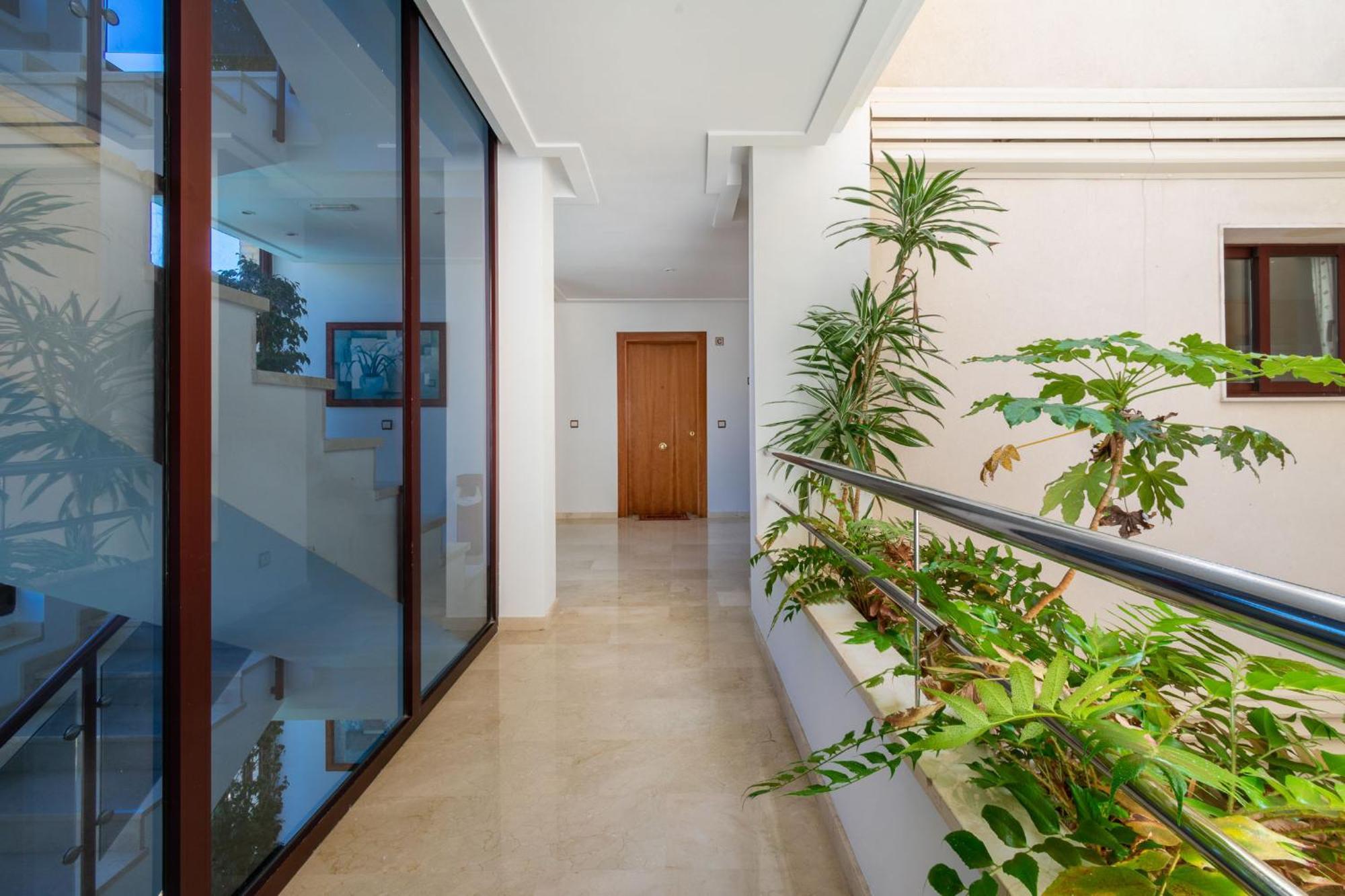 Apartamentos Albir Confort - Avenida 1 Dorm El Albir Ngoại thất bức ảnh